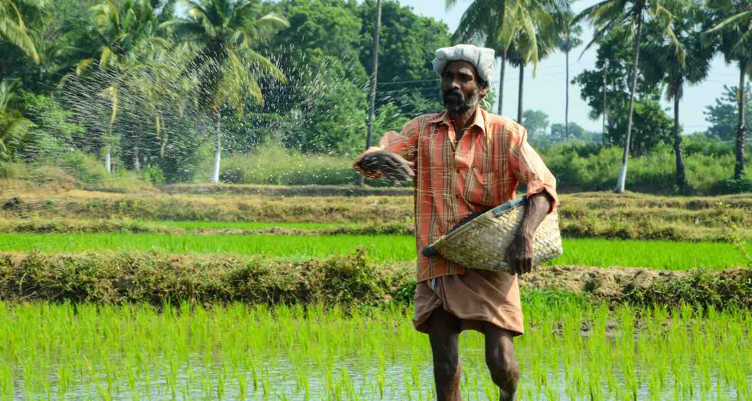 Farming and Machine learning