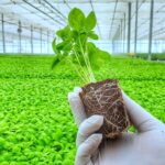 Gardening Machine Learning