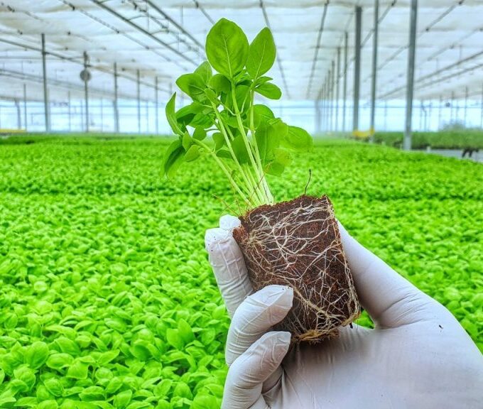 Gardening Machine Learning