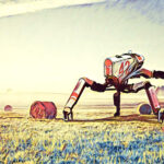 Robotics and Agriculture