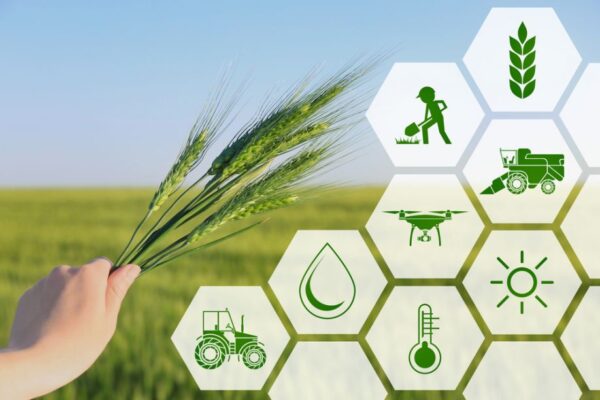 Emerging technologies in agriculture in India
