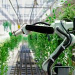 automated farming