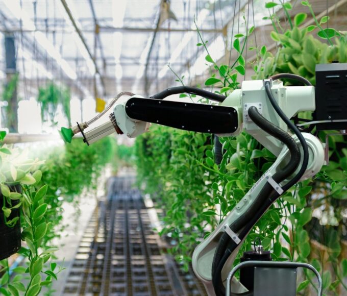 automated farming