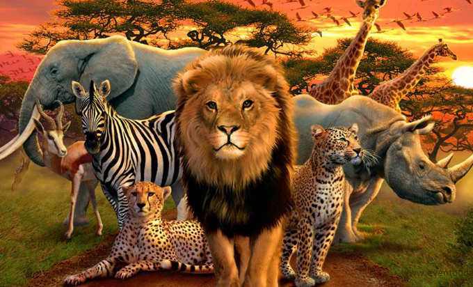 AI and Wildlife conversation