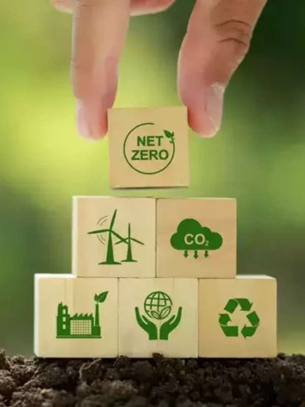 cropped Blockchain for carbon credit.webp