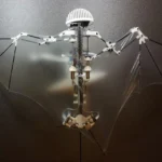 Bio Inspired Robotics