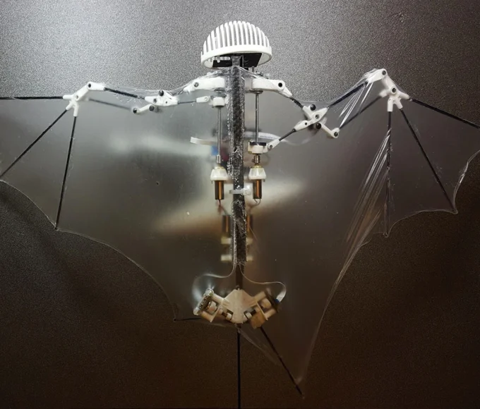 Bio Inspired Robotics