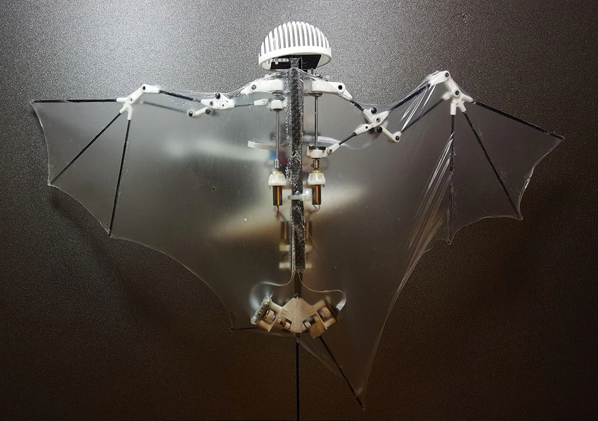 Bio Inspired Robotics