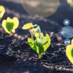 AI in Agriculture