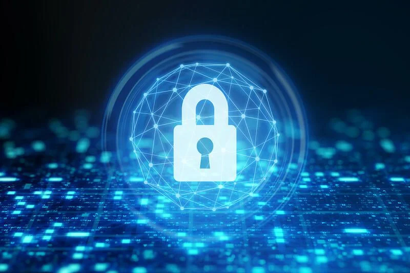 Assisted Data Risk Management